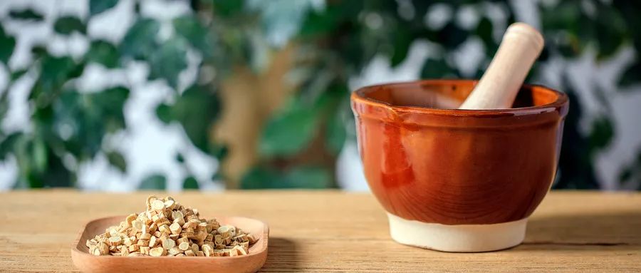 Astragalus Prevents 11 Major Diseases: No Wonder More People Are Using It! Affordable and Effective!
