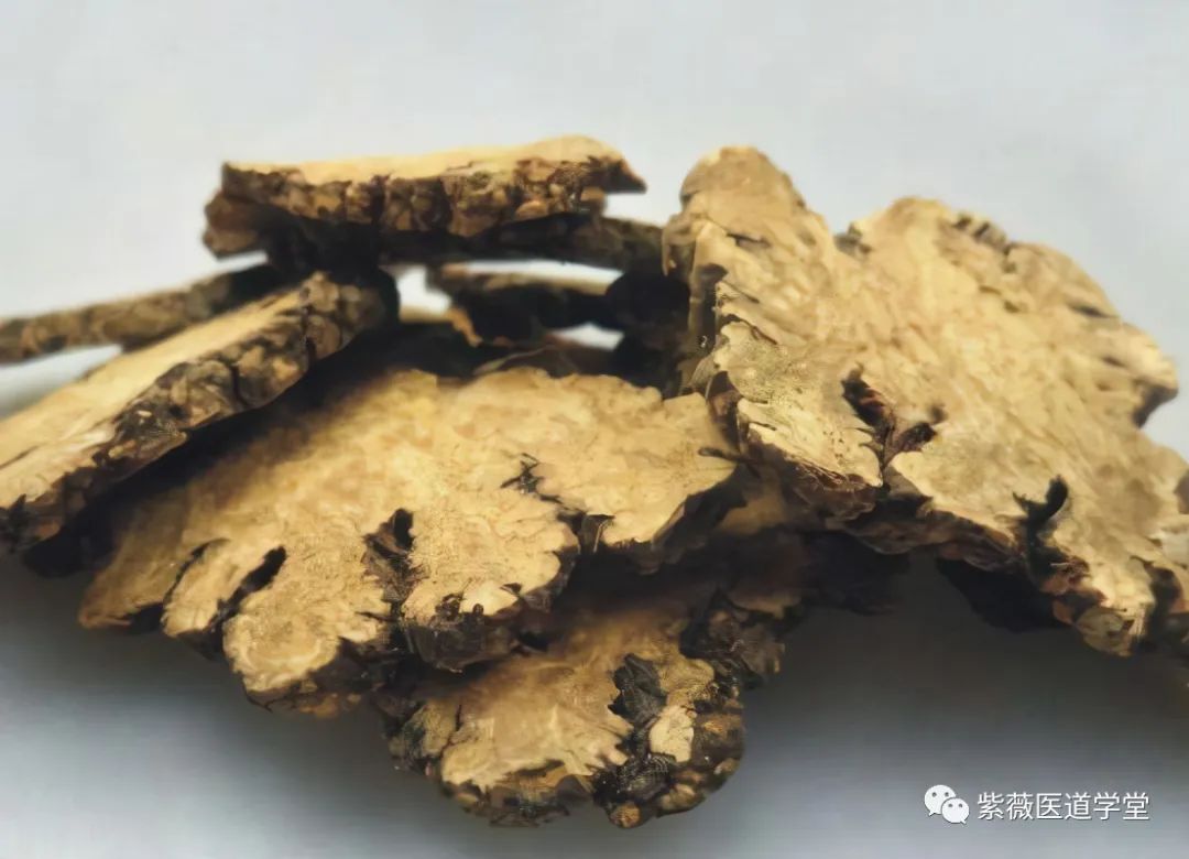 Guide to the Use of Chuanxiong (Ligusticum Chuanxiong)