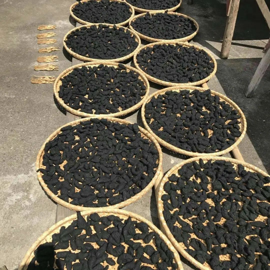 The Unique Traditional Chinese Medicine for Ophthalmology: Shudi Huang
