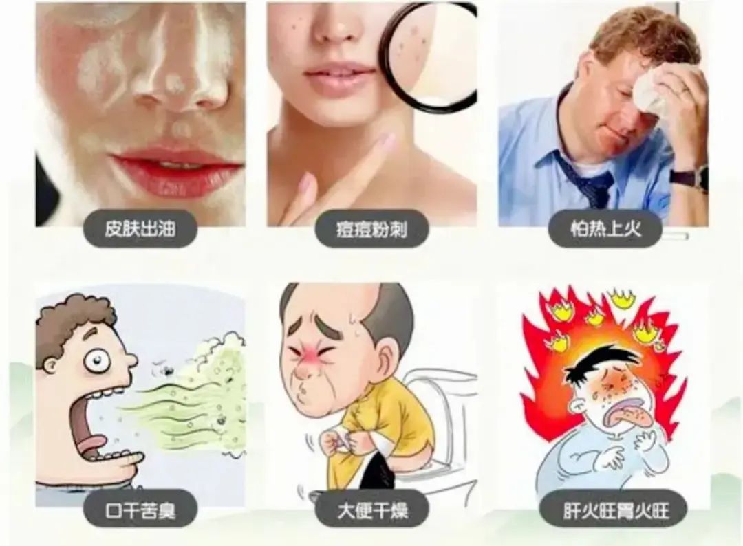 4 Traditional Chinese Medicines to Clear Heat and Resolve Dampness, Refreshing the Body