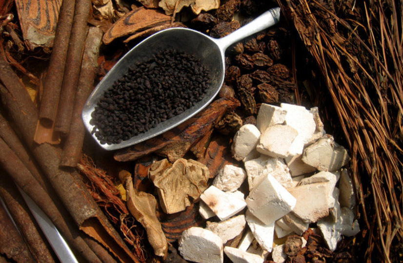 The Essence of Traditional Chinese Medicine: Zhou Dao Guiding Techniques