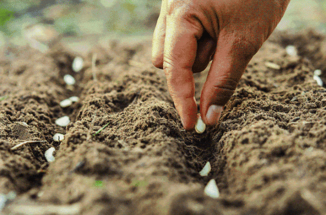 Unexpected: 10 Traditional Health Preservation Methods from Our Ancestors