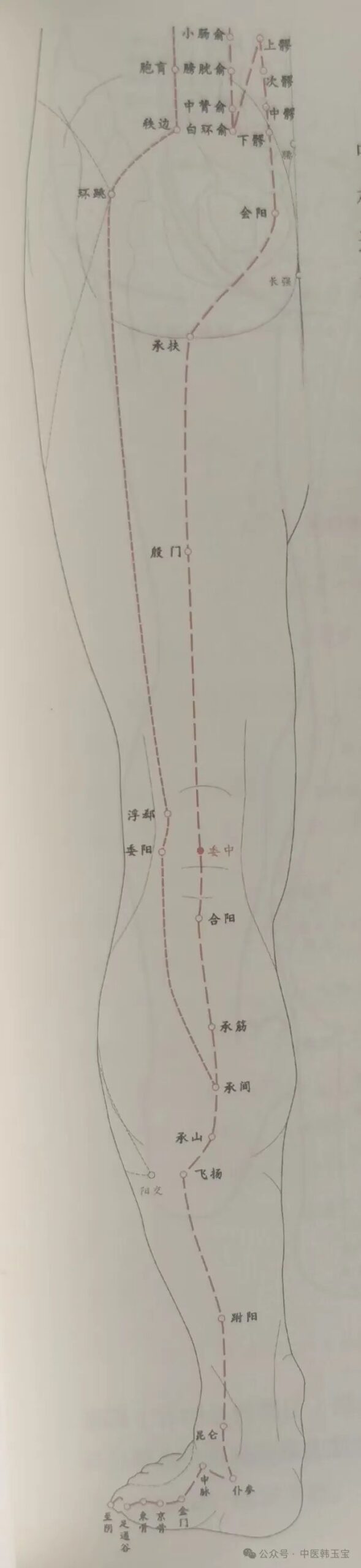 Meridian Studies I: Wu Men Meridian and Tai Yang Meridian
