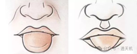 The Heart Reflected in the Tongue: Understanding Tongue Diagnosis in TCM