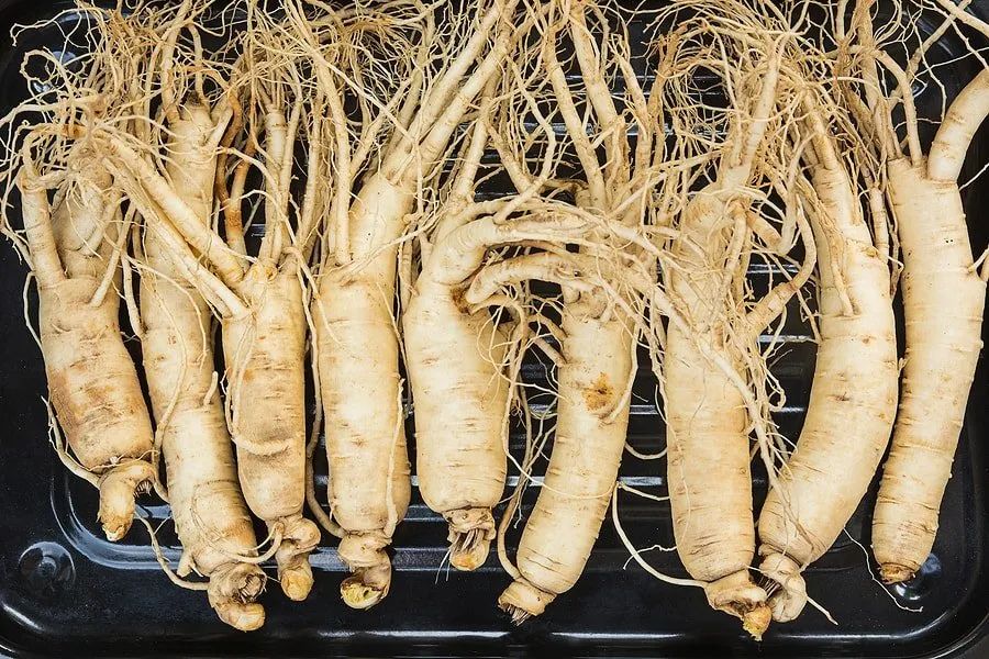 The 13 Benefits and Side Effects of Ginseng (9 Cautions for Use)