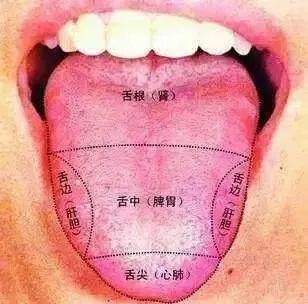 Comprehensive Guide to Observation Diagnosis in TCM: Understanding Shen, Head and Face, Lips, and Tongue Coating