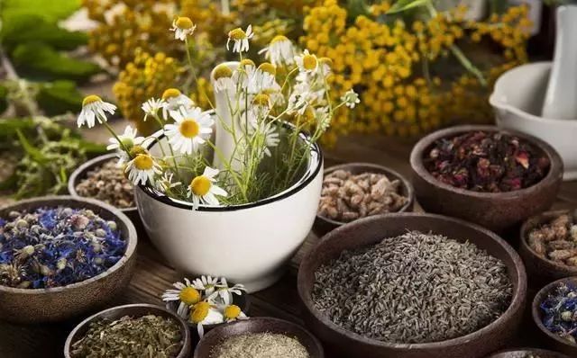 Traditional Chinese Medicine: The Gallbladder as the Chief of the Six Fu Organs with Functions of Storage, Excretion, and Decision-Making