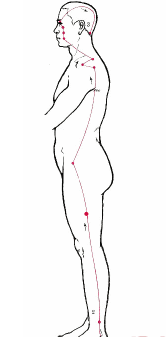 Understanding the Eight Extraordinary Meridians in TCM