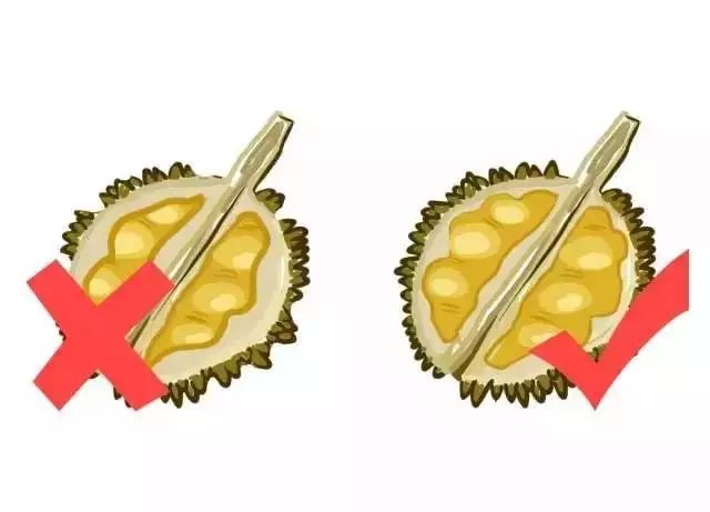 Fruits Classified by Cold and Heat: Eating According to Body Constitution