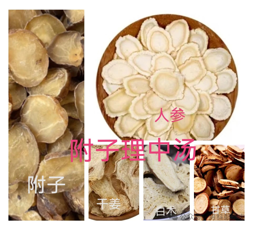 What Are the Differences Between Bu Yang, Tong Yang, and Wen Yang? Which Groups Are Suitable for Each?
