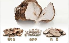 Fuling (Poria) in Traditional Chinese Medicine
