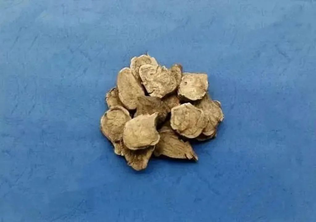 Understanding the Types of Fuzi (Aconite)