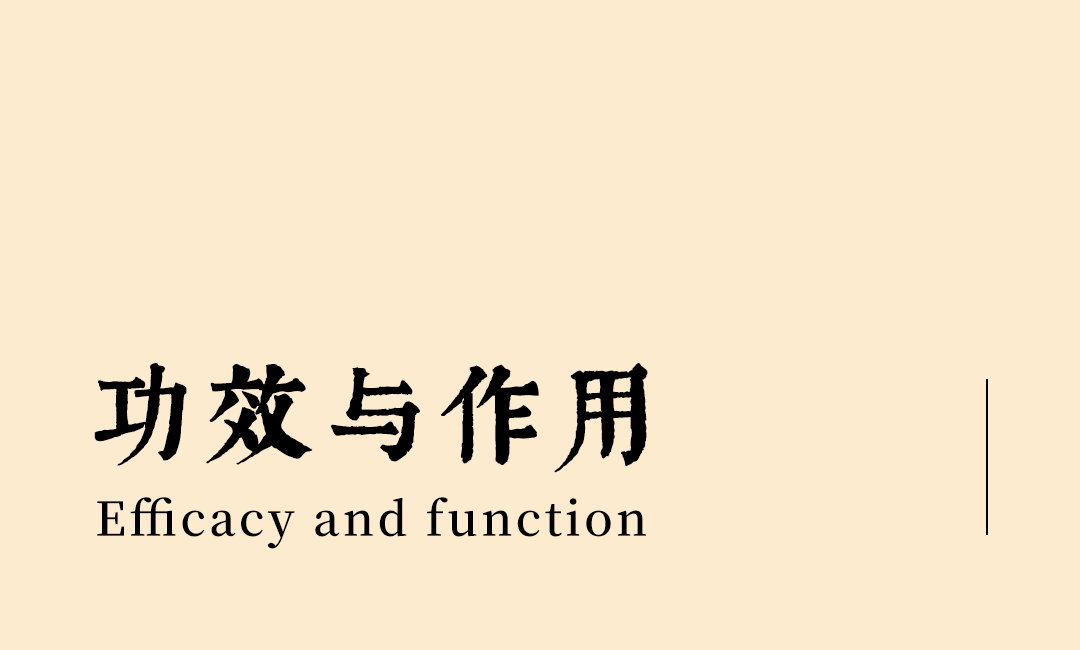 Pharmacist's Insights: The Series on 'Dang Shen' (Codonopsis)