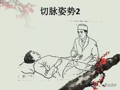 Summary of Pulse Diagnosis in Traditional Chinese Medicine