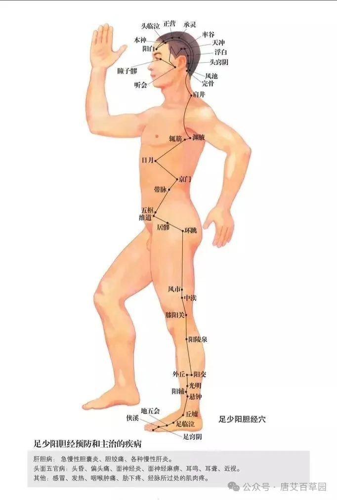 How to Use Moxibustion for Lower Back and Leg Pain