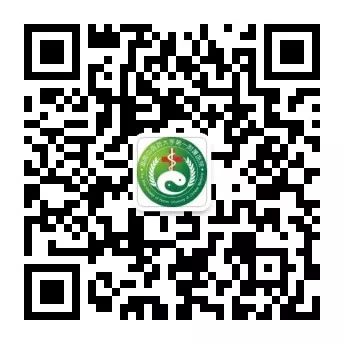 Clinical Applications of Fresh Ginger, Dried Ginger, Processed Ginger, and Ginger Charcoal
