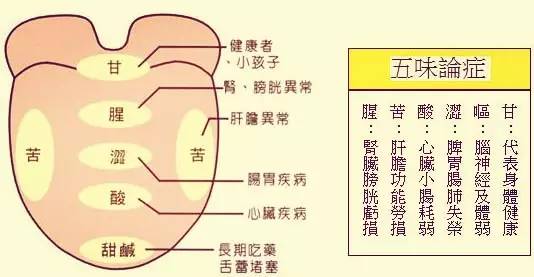 The Yin Qi That Steals Decades from Our Lives (In-Depth Article)