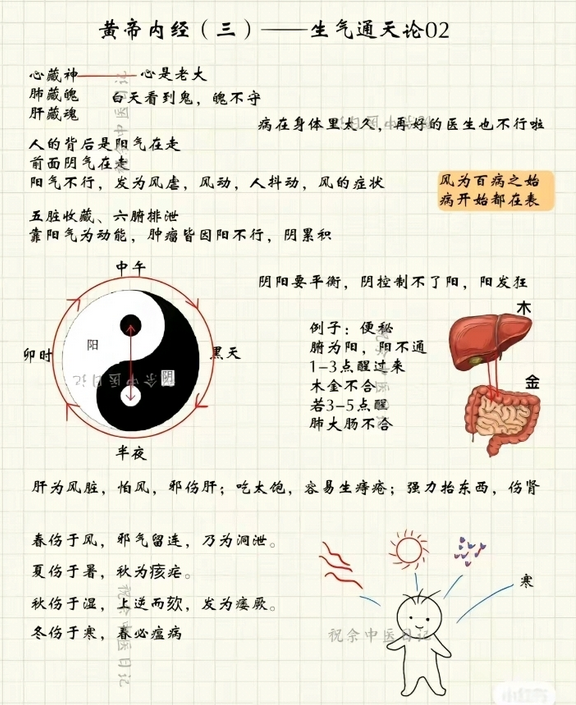 Mind Map of the Huangdi Neijing (Essential Content)