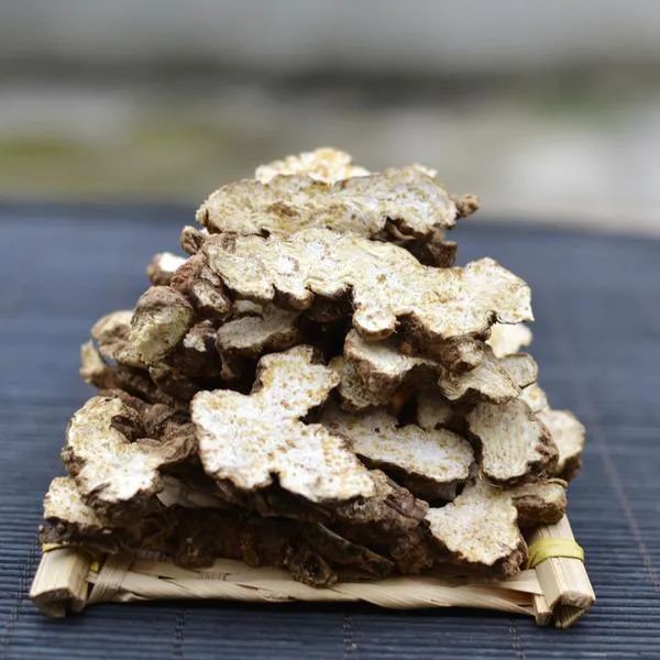 Herbal Antimicrobial Properties of Cang Zhu (Atractylodes)