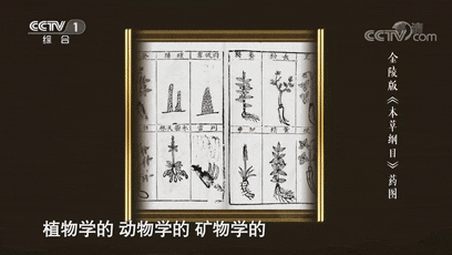Exploring the Compendium of Materia Medica