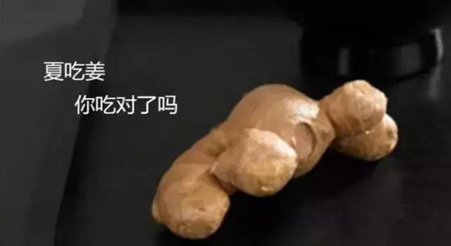 Ginger, Dried Ginger, and Processed Ginger: Different Effects from the Same Root