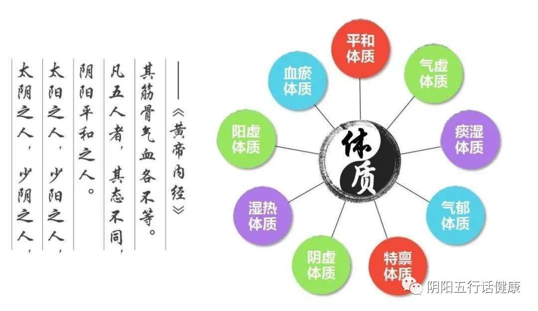 Comprehensive Guide to TCM Constitution and Health Preservation (9 Types of Constitutions)