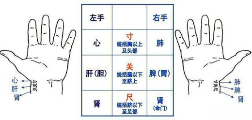 Understanding the Slippery Pulse in Traditional Chinese Medicine