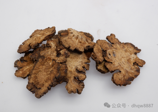 The Efficacy and Contraindications of Chuanxiong (Ligusticum chuanxiong)