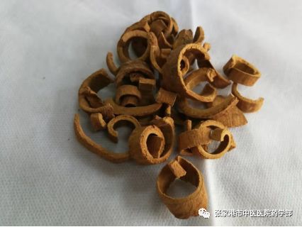 Cinnamon: A Comprehensive Overview of Its Properties and Uses in Traditional Chinese Medicine