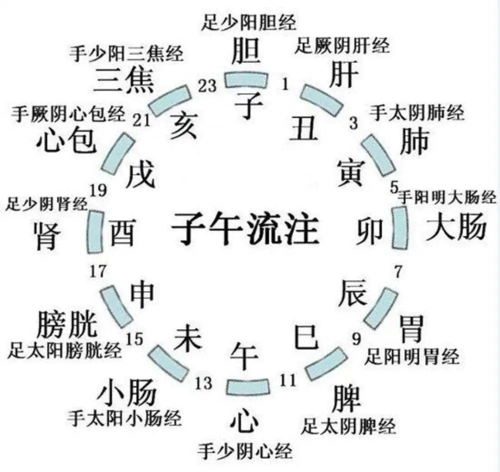 Illustration of the Twelve Meridians