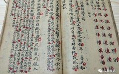 A Rare Summary of the "Shang Han Lun" That Everyone Can Understand