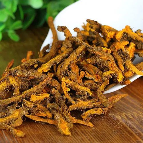 The Remarkable Chinese Herb: Huang Lian (Coptis chinensis)
