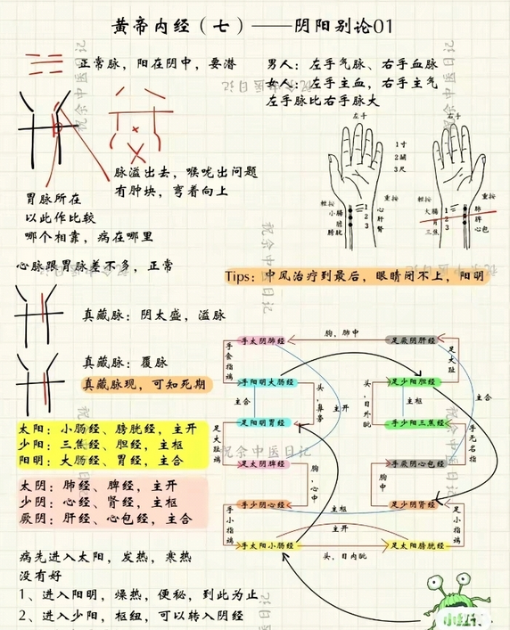 Mind Map of the Huangdi Neijing (Essential Content)