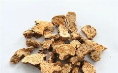Traditional Chinese Medicine Herb: Cang Zhu (Atractylodes)