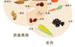 Understanding TCM Medicinal Cuisine