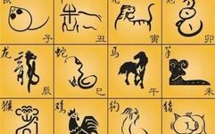 The Interactions of the Twelve Zodiac Signs: A Timeless Guide