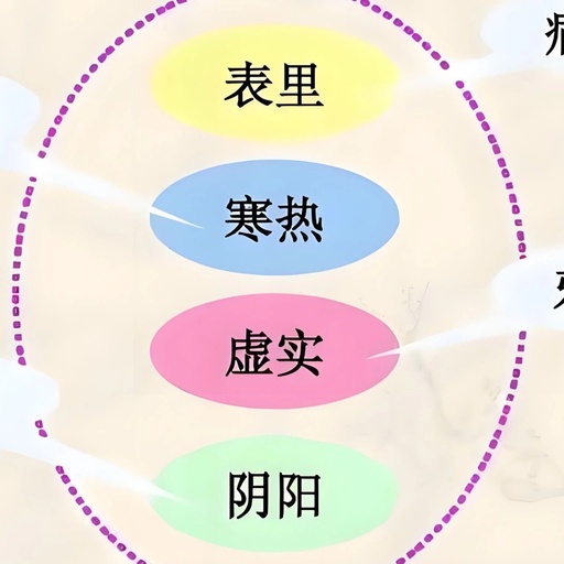 Comprehensive Guide to the Eight Principles of Diagnosis in TCM