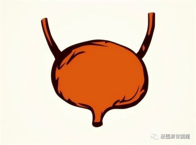 Lower Jiao Damp-Heat Syndrome
