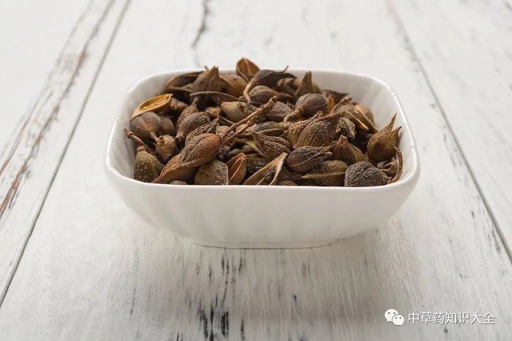 The Efficacy and Functions of Lian Qiao (Forsythia Suspensa)