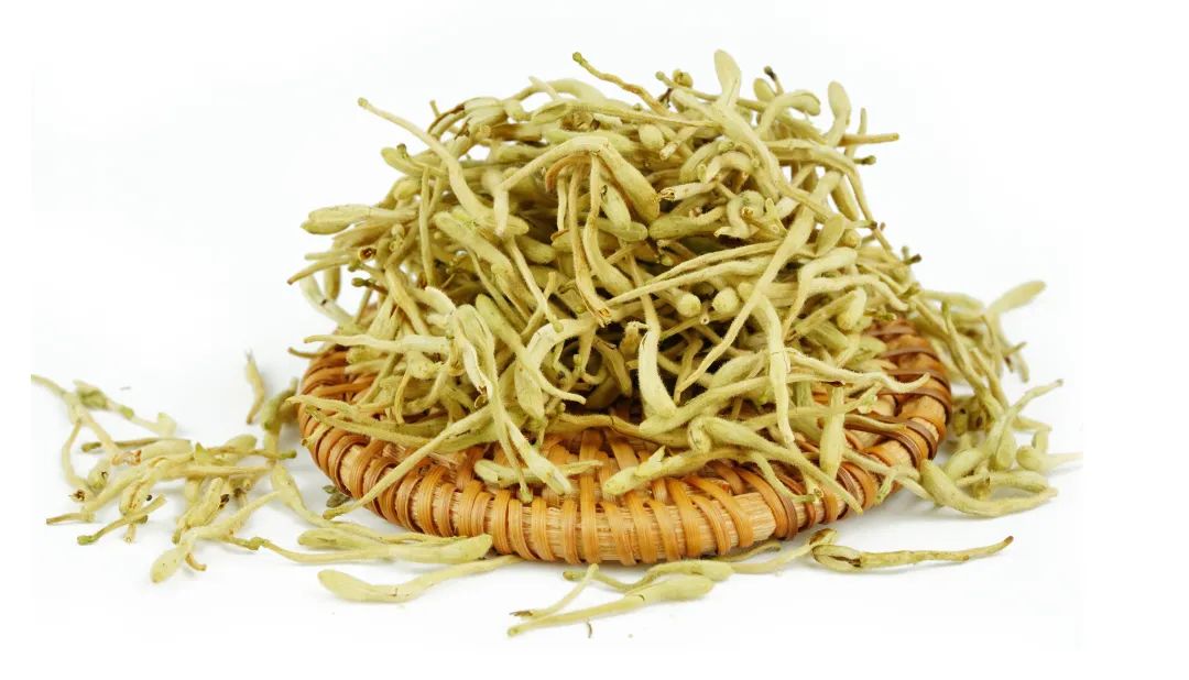 Introduction to Jin Yin Hua (Honeysuckle Flower)