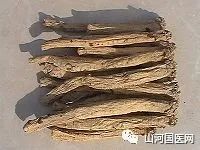 Codonopsis (Dang Shen): A Comprehensive Overview