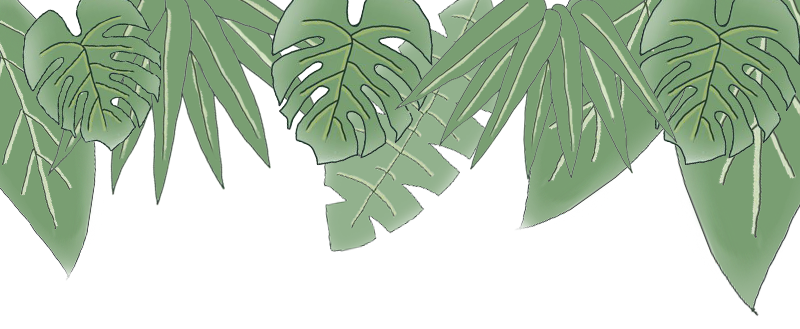 Weekly Study of Traditional Chinese Medicine: Huang Lian (Coptis)