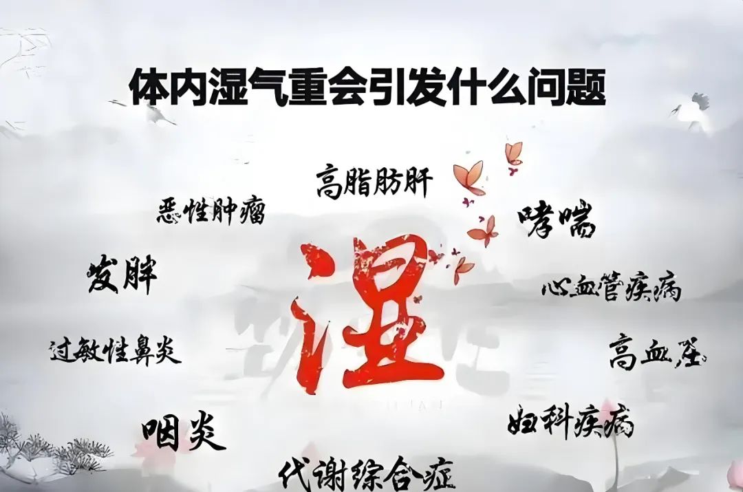 The True Winner is the Harmonious Constitution! How Far Are You from the 'Health Ceiling'?